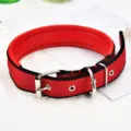 Red padded dog collar with metal buckle and D-ring for daily pet walking and training. - Size 1 (Recommended for 3-8 lbs) / Red