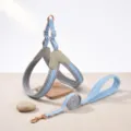 Breathable mesh dog harness and leash set detail view, soft vest design for small pets walking. - Gray