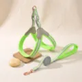 Neon green mesh pet chest harness and leash set with breathable fabric and rose gold hardware. - S / Apple Green