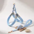 Detailed shot of breathable mesh dog harness and leash set with secure metal buckles and D-ring. - S / Sky Blue