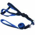 Blue and black dog harness and leash set, durable breathable mesh pet chest strap and lead - Size 1 (5-12 lbs) / Blue Black