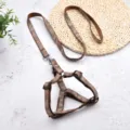 Brown camouflage dog harness and leash set for daily walking and outdoor pet training. - Size 2 (1.5cm Width) / Coffee