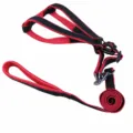 Red and black dog harness and leash set, breathable pet vest strap for safe walking. - Size 1 (5-12 lbs) / Red & Black