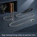 Stainless Steel Dog Training Chain Leash Set Heavy Duty Metal Pet P-Chain Collar 1.8M - M2 / Long Iron Chain with Collar
