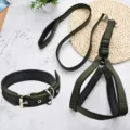 Dark green dog harness and leash set with collar, durable nylon pet walking supplies. - Army Green (3 Piece Set)