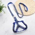 Blue camouflage dog harness and leash set with reflective design for pet walking. - Size 1 (1.0cm Width) / Blue