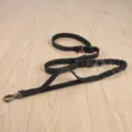Multi-functional black dog leash with bungee elastic shock absorbing design for safe walking. - 2.5cm*Length 140-195cm / Black