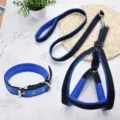 Blue dog harness and leash set with collar, breathable mesh pet walking strap. - Blue Black (3 Piece Set)