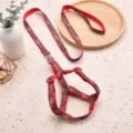 Red camouflage dog harness and leash set, adjustable pet walking strap for puppies. - Size 1 (1.0cm Width) / Red