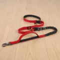 Multi-functional red dog leash with bungee buffer and dual handles for safe running. - 2.5cm*Length 140-195cm / Red