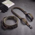 Conjunto de collar táctico y correa elástica para perros medianos grandes paseo al aire - Verde (Conjunto de Collar y Correa)