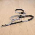 Multifunctional dog leash with bungee anti-shock design, perfect for running, walking and car travel. - 2.5cm*Length 140-195cm / Gray