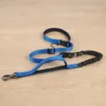 Durable hands-free dog leash with shock-absorbing bungee and secure buckles for running. - 2.5cm*Length 140-195cm / Blue