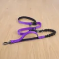 Purple Hands-Free Dog Leash Bungee Dual Handle Pet Leash for Running Walking Training - 2.5cm*Length 140-195cm / Purple