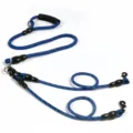 Multi-dog leash anti-tangle coupler training leash with comfortable foam handle. - Dual 2-Pet / Blue