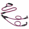 Pink and black multi-dog leash, anti-tangle double coupler pet walking rope variant. - Dual 2-Pet / Purple