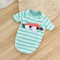 Cute striped pet sweater for small dogs and cats, warm winter dog clothes with plush eye decor. - Green Striped