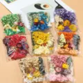 Buntes Set aus getrockneten und konservierten Blumen für DIY-Handwerk und Blumenkunstprojekte - 8-Farben-Serie je 1 Beutel (insgesamt 8 Beutel)/140g