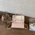 Zaino piccolo chic con fiocco da donna, elegante borsa casual in pelle per ogni giorno. - con portachiavi / Bianco & Rosa