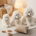 Lindo peluche de caniche blanco animal de peluche con collar rojo y campana decoración - En Cuclillas - Blanco