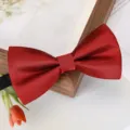 Nœud papillon rouge vin gros plan, tissu texturé de qualité, détail accessoire mariage. - Nœud Papillon Rayé Fin Rouge F9