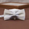 Detailed close-up of a men's purple and gold paisley bow tie on a white pedestal. - Mist Blue Gold Pattern Bow Tie