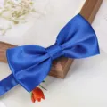 Détail de nœud papillon en satin bleu, idéal pour mariages et tenues professionnelles. - Nœud Papillon Brillant Bleu Roi