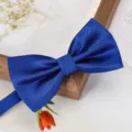 Nœud papillon texturé bleu pour homme, idéal pour les événements formels et les mariages. - Nœud Papillon Petit Carreau Bleu Roi