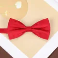Wine red jacquard bow tie detail shot, elegant wedding suit accessory for men and groom. - D10 Red Rose Bow Tie