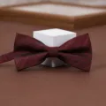 Close-up detail showing the textured fabric and classic shape of a burgundy striped bow tie. - Dark Red Shadow