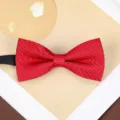 Burgundy bow tie for men, classic textured groom wedding neckwear, elegant suit shirt accessory. - D15 Bowtie