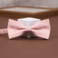 Close-up detail shot of a pink patterned bow tie with fine textured fabric on display stand. - Soft Cloud Pavilion-Light Pink Bow Tie