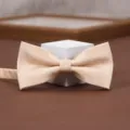 Classic champagne gold textured men's bow tie, perfect for wedding suits and formal events. - Soft Cloud Pavilion-Light Yellow Bow Tie