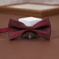Burgundy textured bow tie for wedding suit groom detail view closeup product display - Rouyunxian Wine Red