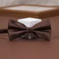 Brown striped bow tie for men suit shirt wedding groom best man formal business party neckwear - Coffee Fine Twill