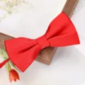 Noeud papillon rouge pour homme costume mariage garcon d honneur uni elegante cravate formelle - Nœud Papillon Rayé Fin Rouge Vif
