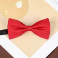 Wine red bow tie detailed shot, classic gentleman suit accessory for weddings and formal events. - Red Diagonal Plaid Bowtie