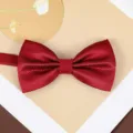 Classic wine red bow tie detail showcasing fine textured fabric for formal wedding suits. - Wine Red Small Check Bowtie