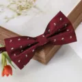 Gros plan détaillé d'un nœud papillon bordeaux à motifs paisley, montrant une texture délicate. - Nœud Papillon Paisley Rouge Vin et Blanc
