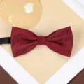 Wine red silk bow tie detail shot, classic textured wedding suit accessory for men and groom. - Deep Wine Red Jacquard Bowtie