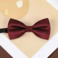 Wine red bow tie detail view, elegant fabric texture for wedding and formal suit wear. - Deep Wine Red Stripe Bowtie