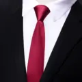 Cravatta da uomo bordeaux classica, tessuto elegante e liscio per abito formale e matrimoni. - Stile Zip 5cm / Borgogna