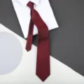 Wine red striped zipper tie detail view, elegant business formal necktie for men and women. - Burgundy Fashion Classic Zipper