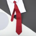 Close-up detail of smooth red zipper necktie displayed neatly on crisp white shirt and background. - H013 Zipper