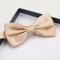 Closeup of elegant champagne satin bow tie in gift box, premium groom formal wear detail. - Champagne Glossy Bowtie