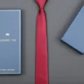 Red striped necktie for men business formal wear with elegant gift box packaging detail view. - 6cm Burgundy Fashion Classic Zipper (With Long Gift Box)