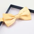 Elegant yellow silk bow tie for men, perfect for weddings, business suits, and formal occasions. - Light Yellow Glossy Bowtie