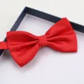 Close-up of the elegant red textured grid bow tie detail, perfect for formal wedding attire. - Red Small Plaid Bowtie