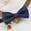 Nœud papillon bleu formel pour homme détail gros plan, tissu élégant à pois pour fête de mariage - Nœud Papillon Pois Bleu F11