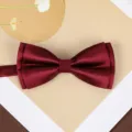 Elegant burgundy satin bowtie for men and women, classic wedding suit neckwear accessory. - Trendy Wine Red Bowtie